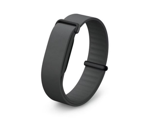 Google Fitbit Air