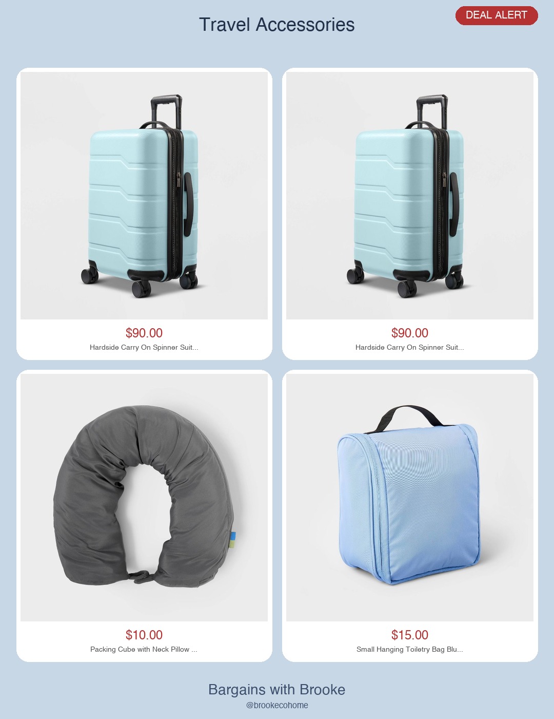 travel accessories from target