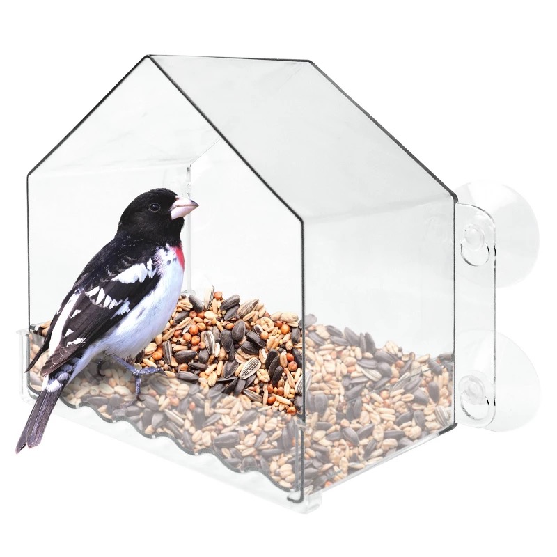 Bird Feeder